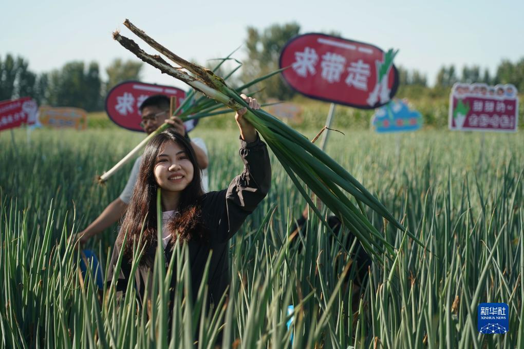 捕鱼王(赢话费)